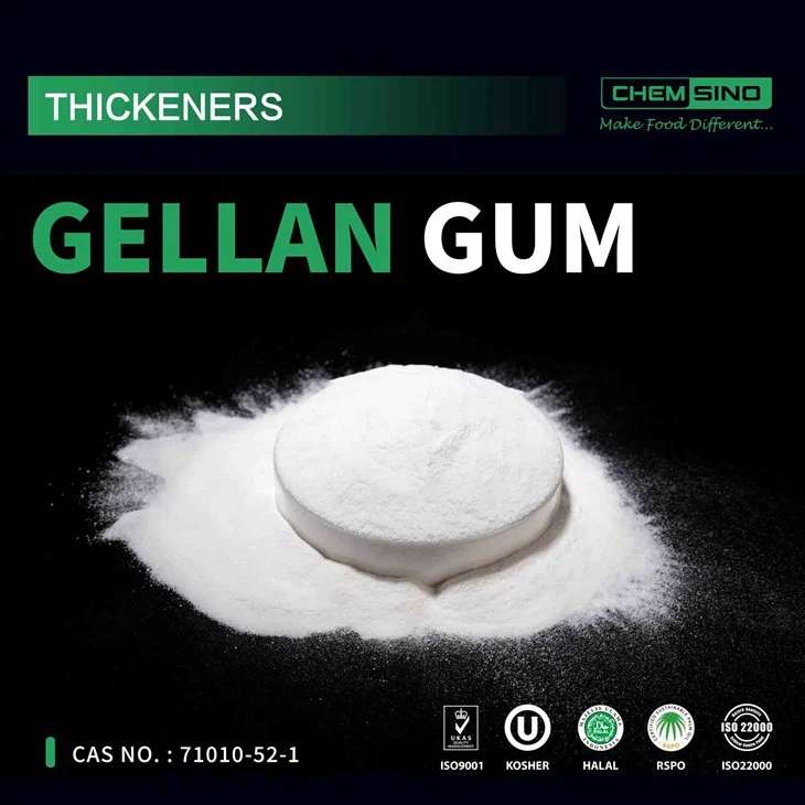 Gellan Gum Magic: 식품 디자인의 질감과 매력 향상 CAS NO.71010-52-1