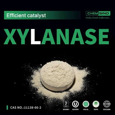 CAS 9025-57-4 공개: Xylanase 효소의 힘!