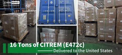 16톤의 CITREM(E472c)이 미국으로 배송됨