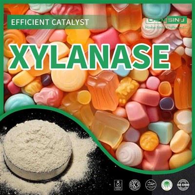 CAS 9025-57-4: 놀라운 효소를 발견하세요 - Xylanase Unleashed!