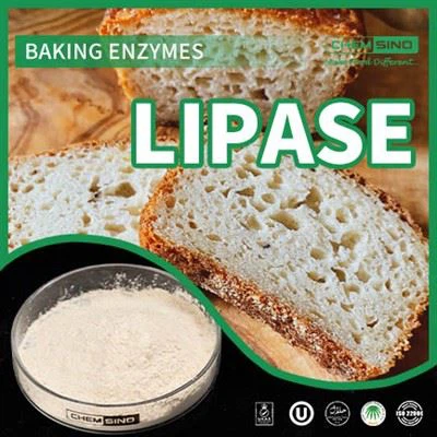 몸에 좋은 연료를 공급하세요: 영양소 활용 강화를 위한 리파제 효소 CAS 번호:9001-62-1