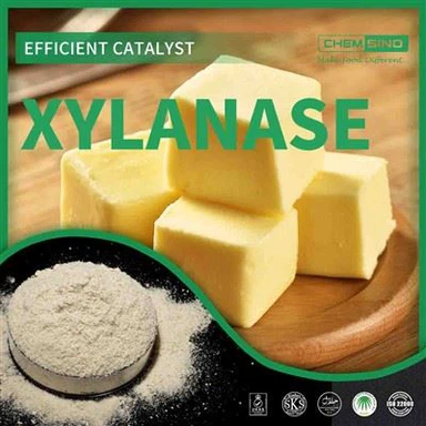 식품 및 제지 산업에서 Xylanase 사용 E1105